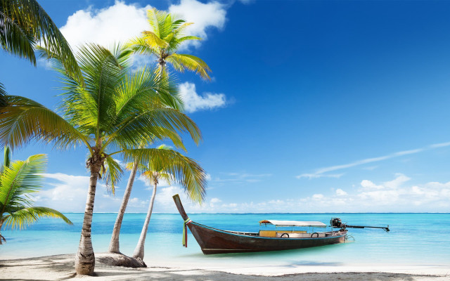 Boat beach palm trees blue #5 free wallpaper for desktop - medium preview image