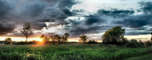 Field trees cloudy sky sun free wallpaper for desktop - medium preview image