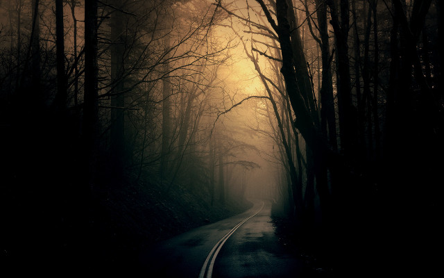 Dark road forest light trees free wallpaper for desktop - medium preview image