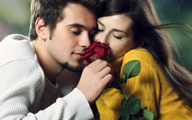 Man woman kissing holding rose free wallpaper for desktop - medium preview image