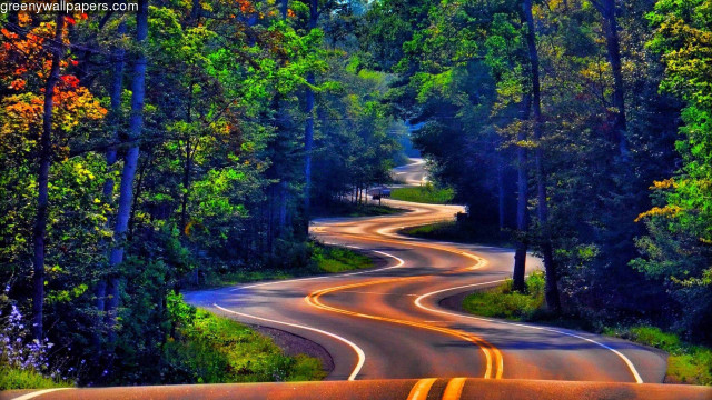 Psychedelic road curves trees city free wallpaper for desktop - medium preview image