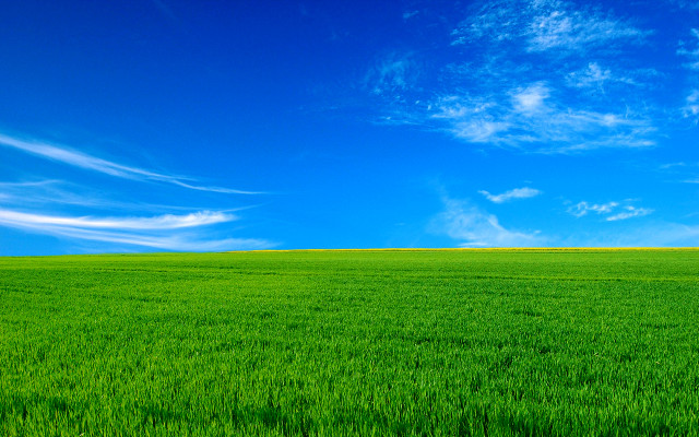 Green field blue sky lone free wallpaper for desktop - medium preview image