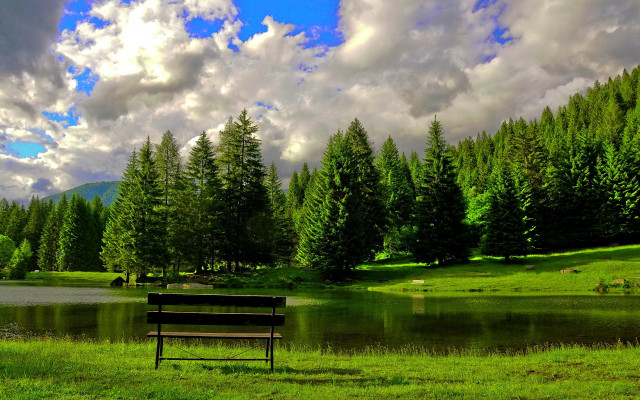 Bench grass lake trees cloudy free wallpaper for desktop - medium preview image