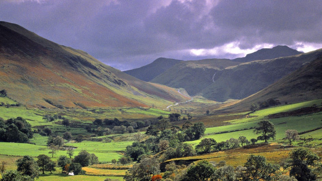 Valley trees mountains clouds cows free wallpaper for desktop - medium preview image