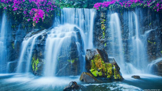 Waterfall purple flowers rock water #2 free wallpaper for desktop - medium preview image