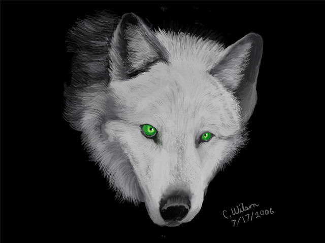 White wolf green eyes black free wallpaper for desktop - medium preview image