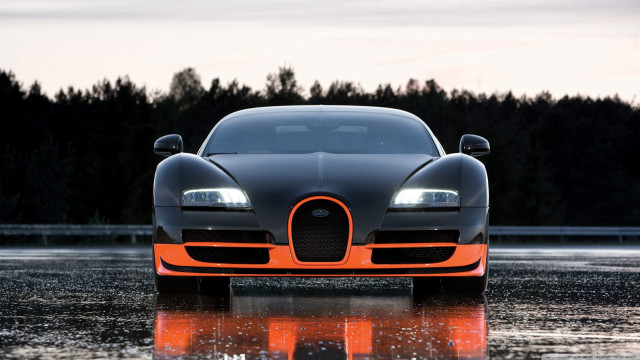 Bugatti rain wet surface trees free wallpaper for desktop - medium preview image