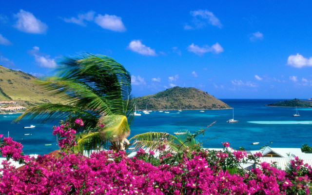 Tropical island blue ocean boats free wallpaper for desktop - medium preview image