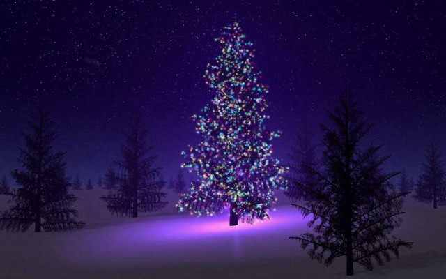 Christmas tree snowy night stars free wallpaper for desktop - medium preview image