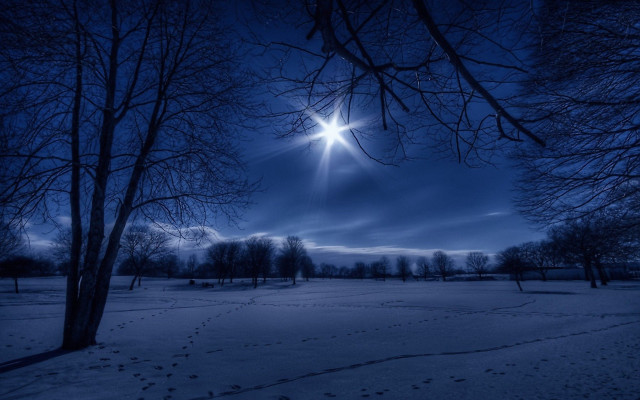 Full moon snowy forest night #3 free wallpaper for desktop - medium preview image