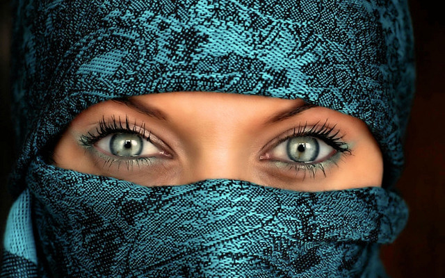 Blue eyes scarf snake skin free wallpaper for desktop - medium preview image