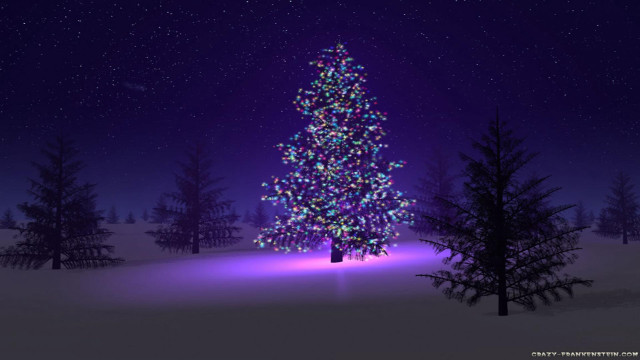 Christmas tree snow night purple #3 free wallpaper for desktop - medium preview image