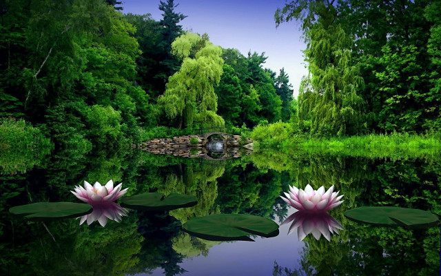 Pond water lilies bridge trees free wallpaper for desktop - medium preview image
