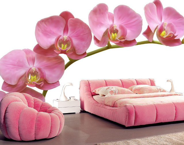 Pink bed swan flower background free wallpaper for desktop - medium preview image
