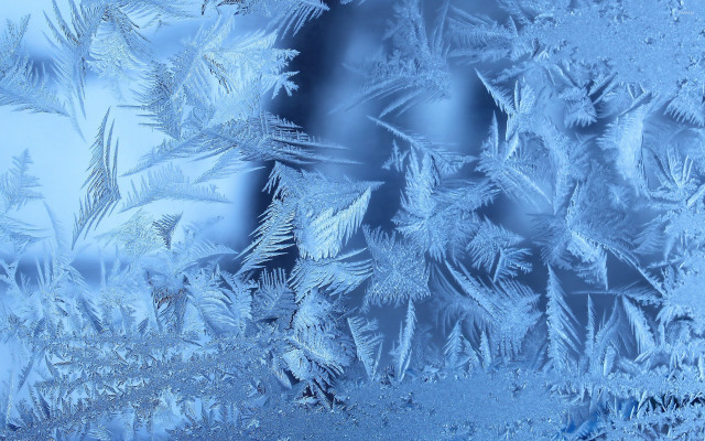 Frosty window leaves blue sky free wallpaper for desktop - medium preview image