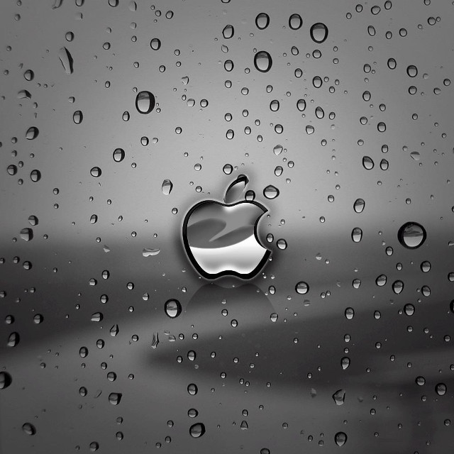 Apple rain water bubbles monochrome free wallpaper for tablet - medium preview image