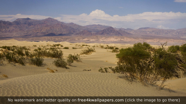 Desert trees mountains sky clouds free wallpaper for desktop - medium preview image