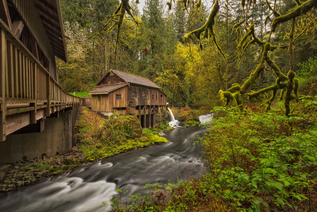 Wooden bridge river forest building free wallpaper for desktop - medium preview image
