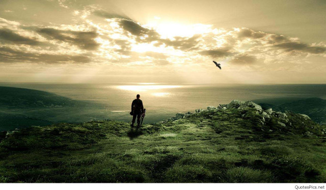 Man hill ocean bird flying #3 free wallpaper for desktop - medium preview image