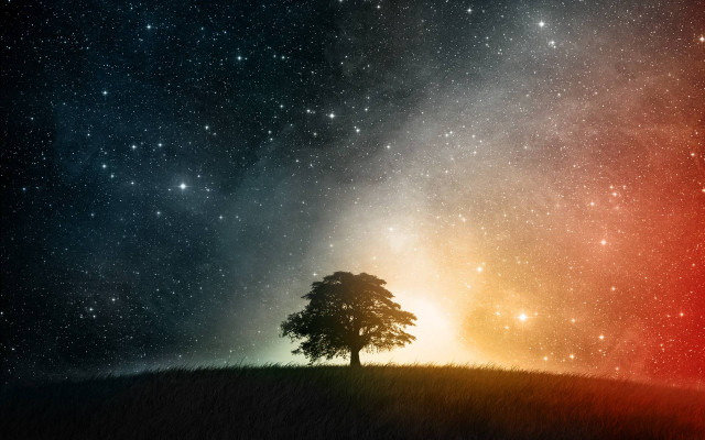 Lone tree hill night sky #4 free wallpaper for desktop - medium preview image