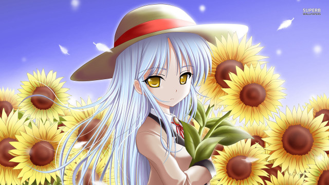Girl white hair hat sunflowers free wallpaper for desktop - medium preview image