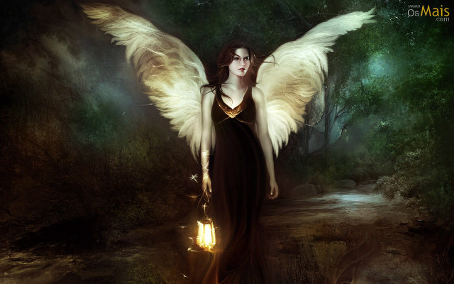 Woman angel wings lantern forest free wallpaper for desktop - medium preview image