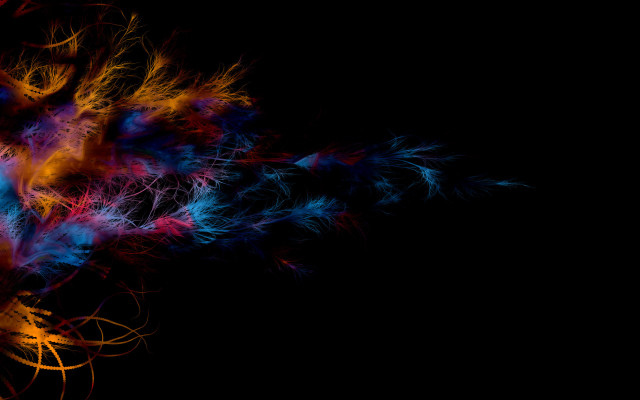 Colorful feathers black background side free wallpaper for desktop - medium preview image