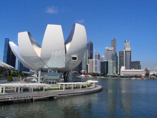 White flower sculpture river cityscape free wallpaper for desktop - medium preview image