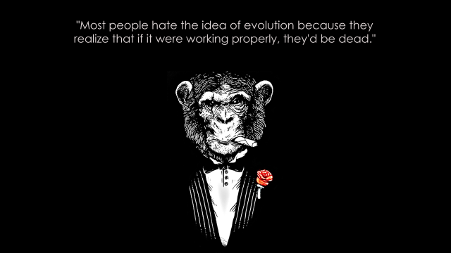 Monkey tuxedo rose lapel quote free wallpaper for desktop - medium preview image