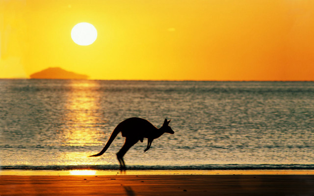 Kangaroo running beach sunset island #4 free wallpaper for desktop - medium preview image