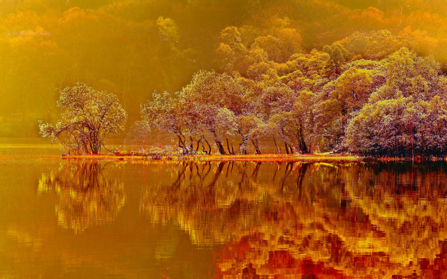 Lake trees yellow sky background free wallpaper for desktop - medium preview image