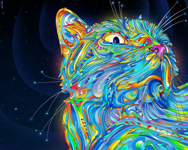 Colorful cat blue background stars free wallpaper for desktop - medium preview image