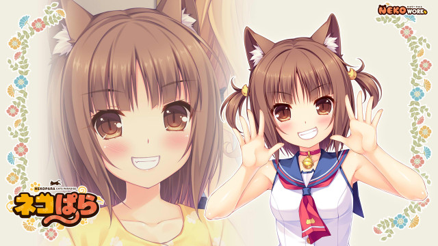 Girl cat ears cat tail free wallpaper for desktop - medium preview image