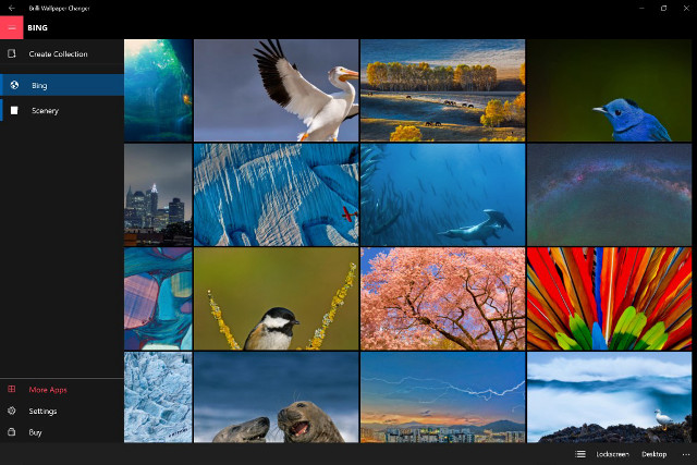 Birds flowers collage nature colorful free wallpaper for desktop - medium preview image