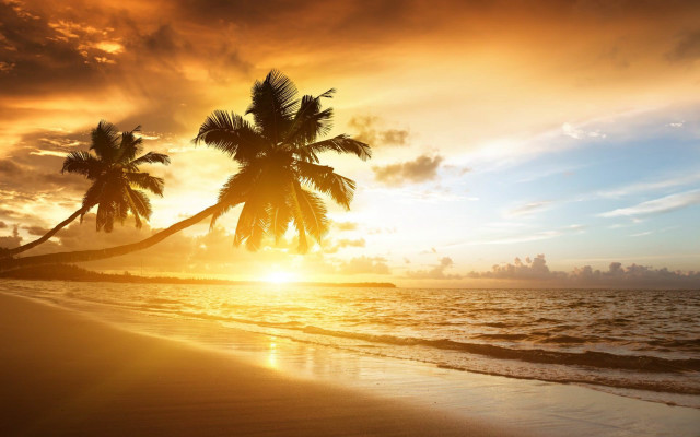 Tropical beach sunset palm trees #2 free wallpaper for desktop - medium preview image
