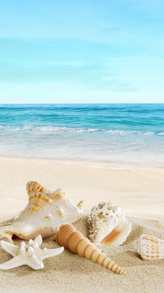 Seashell starfish beach sand ocean free wallpaper for mobile - medium preview image