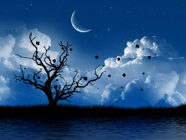 Bare tree crescent moon cloudy free wallpaper for desktop - medium preview image