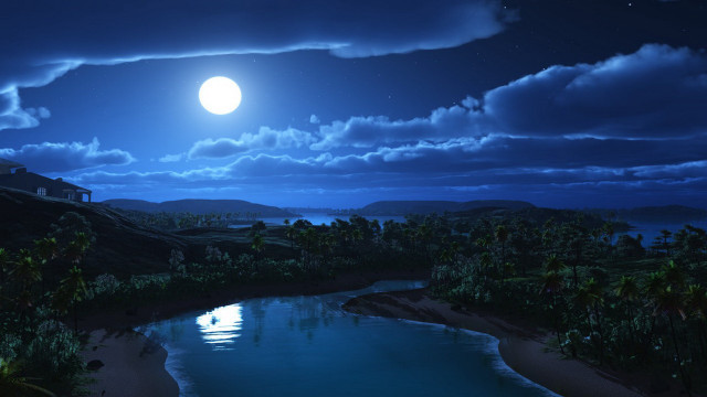 Full moon water palm trees free wallpaper for desktop - medium preview image
