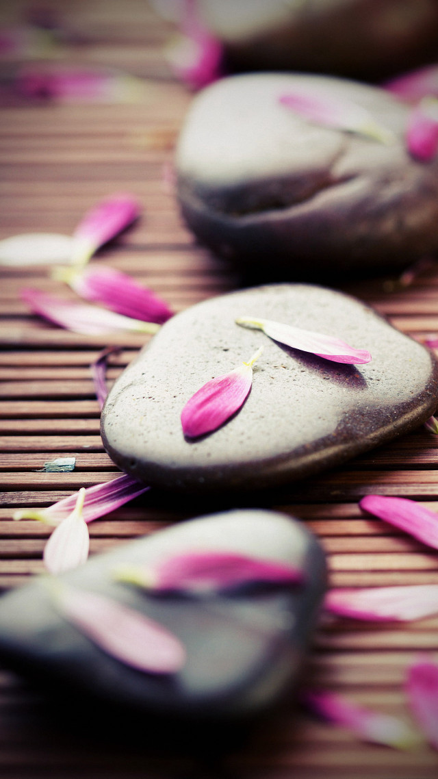 Rocks pink petals bamboo mat free wallpaper for mobile - medium preview image