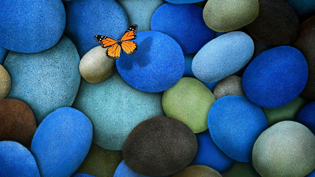 Butterfly sitting rock blue green #5 free wallpaper for desktop - medium preview image
