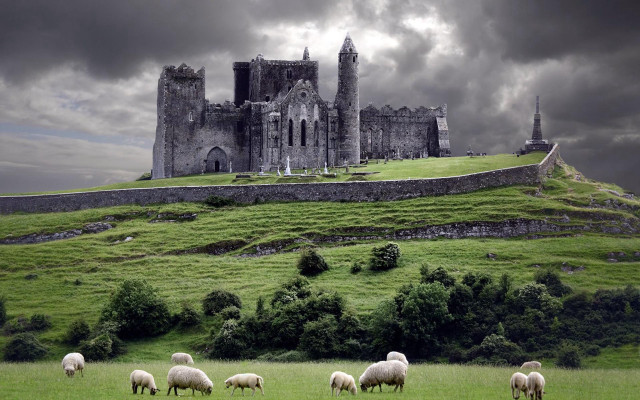 Sheep grazing field castle stormy free wallpaper for desktop - medium preview image