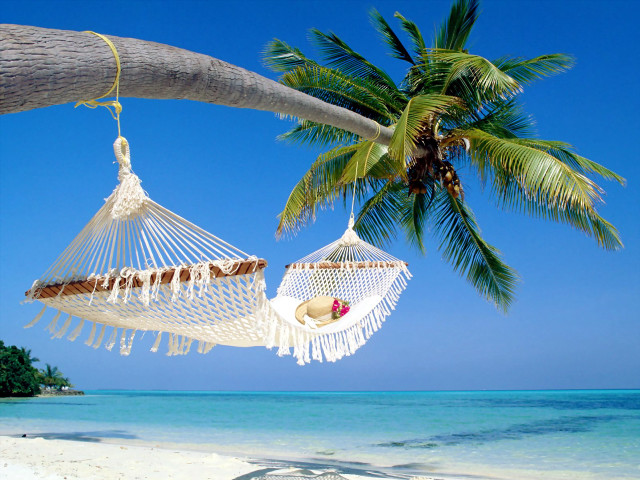 Hammock palm tree beach blue #2 free wallpaper for desktop - medium preview image