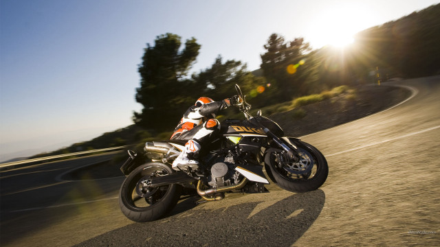 Motorcycle driving road hill trees free wallpaper for desktop - medium preview image