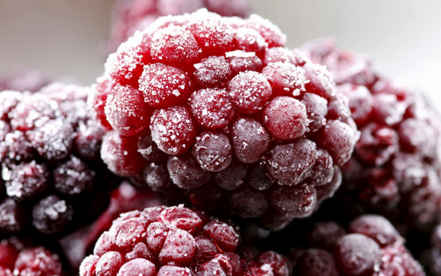 Frozen raspberries close up white free wallpaper for desktop - medium preview image