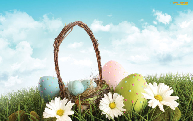 Basket eggs daisies grass blue free wallpaper for desktop - medium preview image