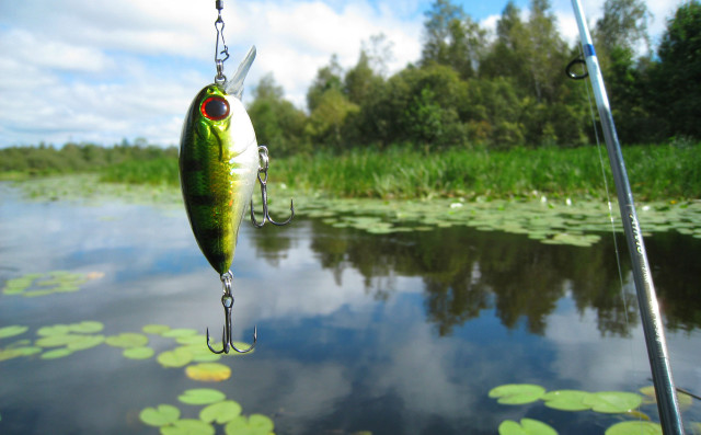 Fish caught fishing rod pond free wallpaper for desktop - medium preview image