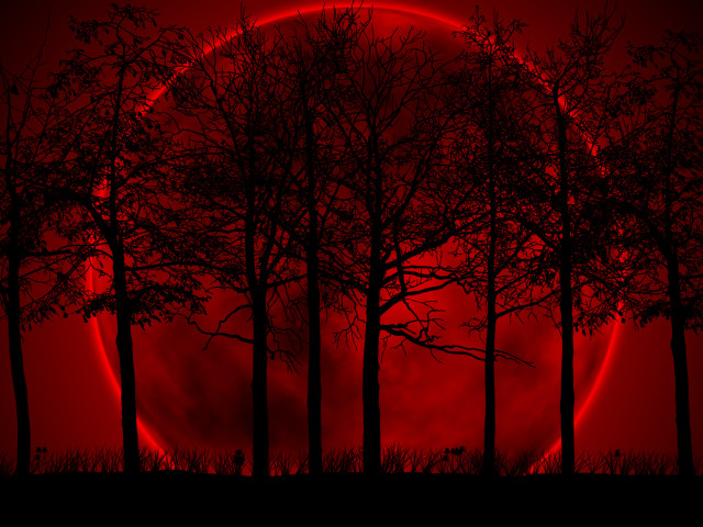 Red moon trees dark night #2 free wallpaper for desktop - medium preview image