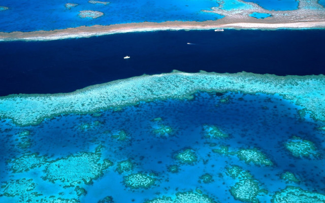 Ocean coral reefs boat distant free wallpaper for desktop - medium preview image