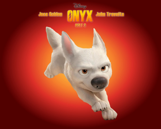 White dog red background yellow free wallpaper for desktop - medium preview image