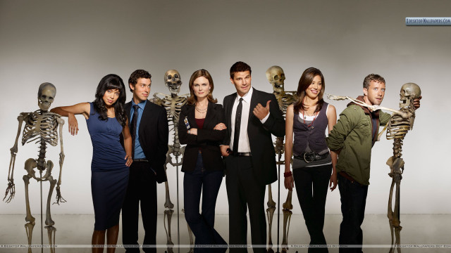 Skeletons group people arms crossed free wallpaper for desktop - medium preview image